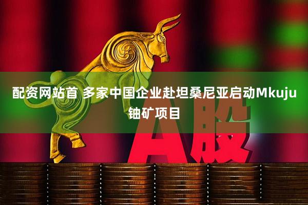 配资网站首 多家中国企业赴坦桑尼亚启动Mkuju铀矿项目